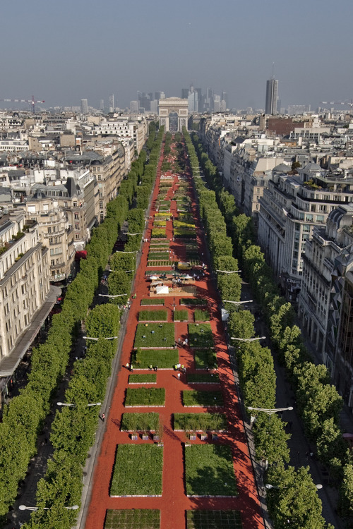 Sunday, May 23, from 6:00 am to 9:00 am: 600 volunteers and dozens of farmers have almost completed the installation of the 8,000 parcels making up the work of street of Gad Weil Street and Laurence Medioni. Photo taken with a cherry picker truck installed on the roundabout of the Champs Elysees.