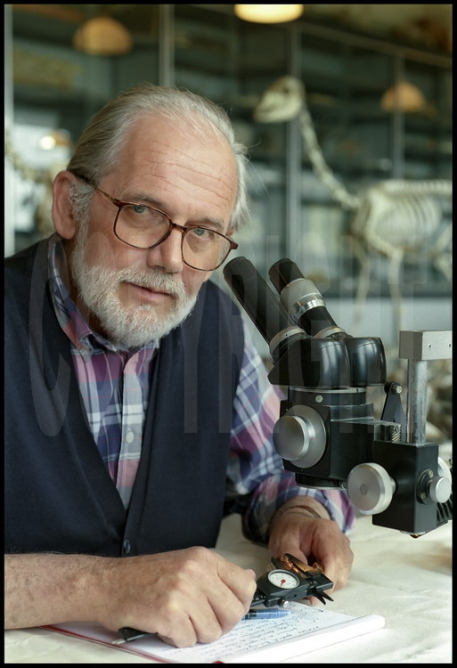 Portrait de Michel Brunet à l'Université de Poitiers. A l'université de Poitiers, la moisson de fossiles découvert au Tchad est étalée dans la grande salle de paléontologie : cette faune, découverte dans les mêmes sédiments que les fossiles d'hominidés, permettra de dater ces derniers avec précision.