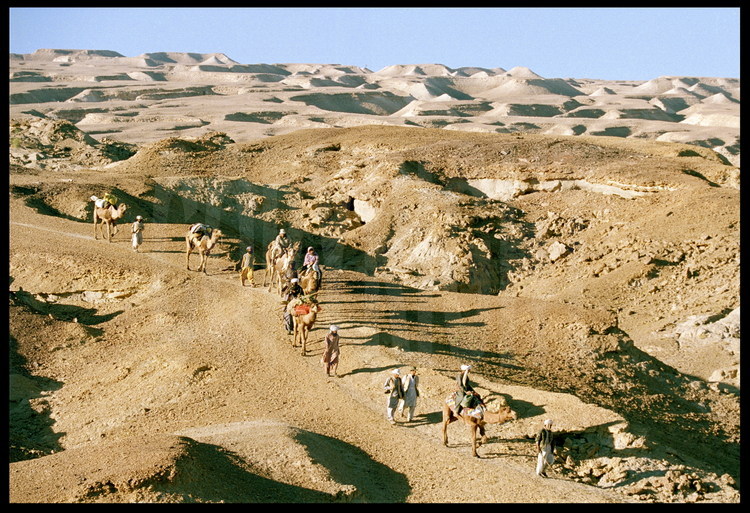 Le transfert : L’expédition se déplace depuis le site de Lundo vers le site de Hargai, ou aura lieu la reconstitution du squelette du Baluchitherium. En arrière plan le paysage lunaire du Zin (voir photo n° 48).