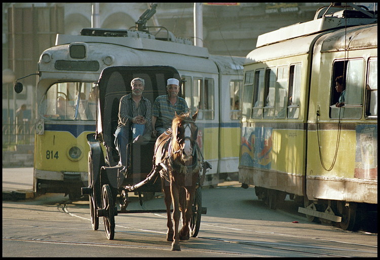 In the Agami neighborhood, horse-drawn carriages are not for tourists but to transport Alexandrians and all sorts of cumbersome objects.  Until the opening of first metro line, predicted in 2006, the tramway remains the city’s most efficient means of public transportation.