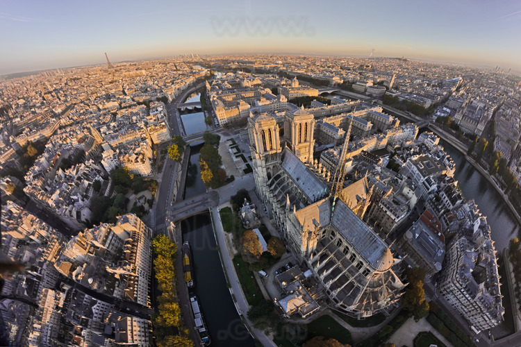 Notre Dame seen from the southeast, with the south facade and chevet. The cathedral looks like wrapped in its side chapels and flying buttresses. Unique growth, on the south side: the sacristy and treasury rooms. In the foreground (l. to r.), the Latin Quarter, the Quai Montebello, the southern arm of the Seine, the square Jean XXIII and the School of Magistrates. In the background (l. to r.), square René Viviani, the Pont au Double, parvis Notre Dame, the police headquarters, the Law Courts and the City Hall. In the background (l. to r.), the church of Saint Sulpice, the Eiffel Tower, Montmartre and the place du Chatelet. Altitude 115 meters.