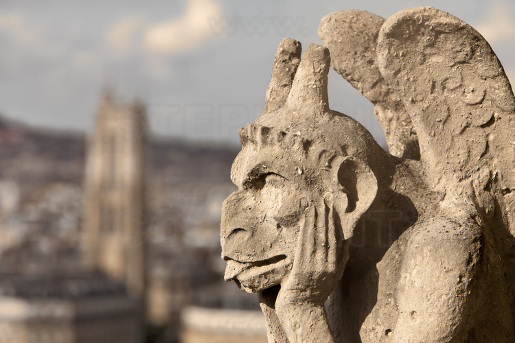 At the height of the great gallery of chimeras and gargoyles, which connects the base of the towers. Built 150 years ago, this scary bestiary came out of the imagination of the architect Viollet le Duc and is now part of the image of Notre Dame. Here, the famous Stryge of the north tower. In the background, Tour Saint Jacques tower. Altitude 43 meters.