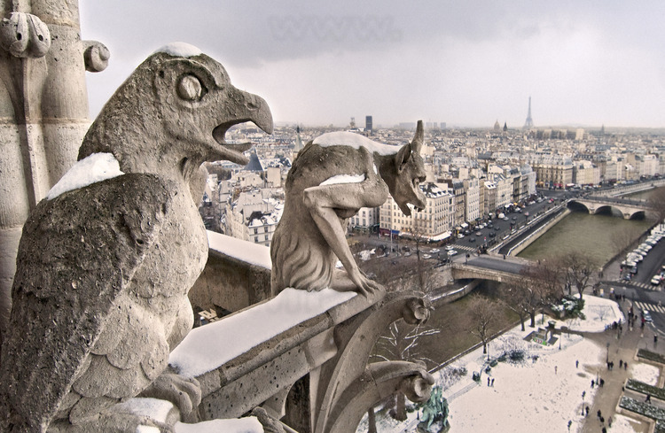 Under winter snow, at the height of the great gallery of chimeras and gargoyles, which connects the base of the towers. Dominated by the chimera of the south tower, the quays of the left bank of the Seine. In the background l. to r., the church of Saint Sulpice, the Invalides and the Eiffel Tower. Altitude 43 meters.