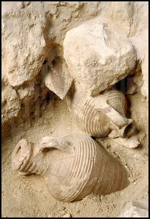 An archeological worker removes two large Cos (foreground) and Rhodes (middle ground) amphora from the Ptolemaic era (1st century BC).