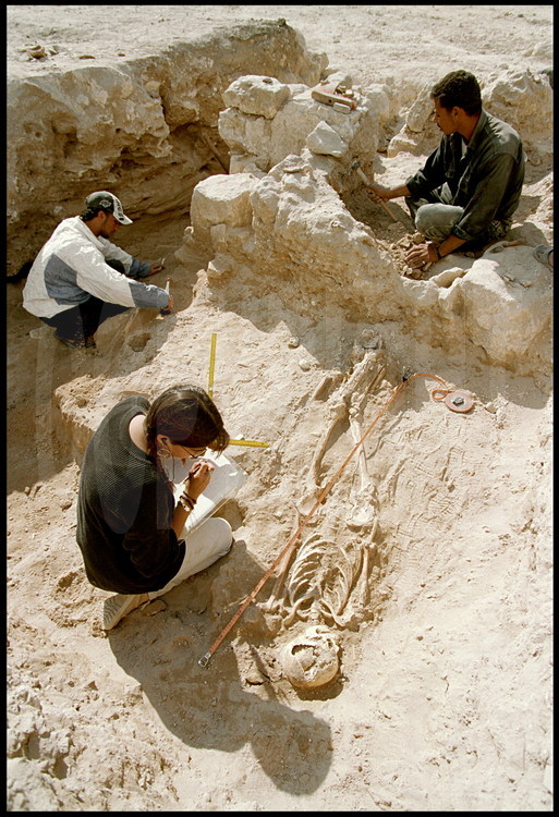 On top of burial chamber IV, Egyptian archeologist Soliman removes a skeleton from the Ptolemaic era.