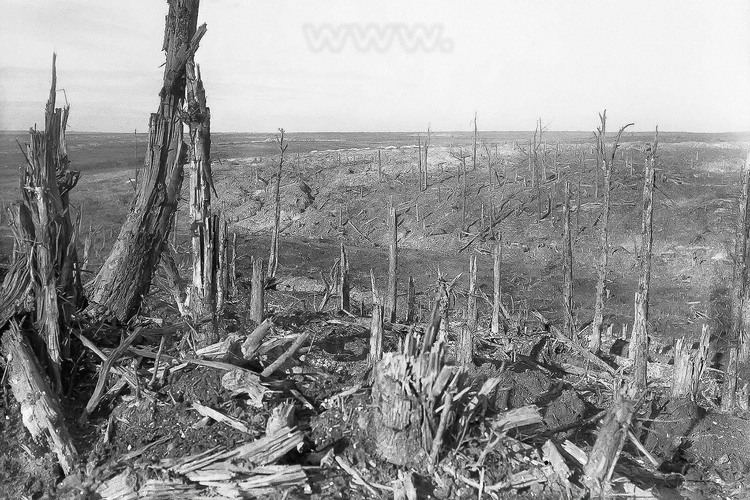 Bataille de la Somme : le site de la bataille de Beaumont-Hamel pendant la guerre. Le 1er juillet 1916, les hommes du régiment terre-neuvien, à peine sortis de leur tranchées, se trouvèrent pris sous le feu des mitrailleuses allemandes. Une demi-heure plus tard, ils n'étaient plus que 68 valides. Le site, qui s'étend sur 30 hectares, est aujourd'hui conservé en l'état par le gouvernement canadien. Le 1er juillet 1916, c'est le début de la bataille de la Somme et le début d'un carnage effroyable : 58000 hommes tués ou blessés en une seule journée. Quatre mois plus tard, le bilan est terrible : 1200000 hommes ont été mis hors de combat, sur un effectif total de 3000000 hommes. (Cette image d'archives n'est pas disponible à la vente et uniquement présente ici pour situer le contexte).
*** Local caption ***
Battle of the Somme: the site of the Battle of Beaumont-Hamel during the war. On 1 July 1916, the men of the Newfoundland Regiment, barely out of their trenches, found themselves under fire from German machine guns. Half an hour later, they were only 68 valid. The site, which extends over 30 hectares, is now preserved in the state by the federal government. On 1 July 1916, this is the start of the Battle of the Somme and the beginning of a terrible carnage: 58,000 men killed or wounded in a single day. Four months later, the picture is terrible: 1200000 men were put out of action, out of a total of 3000000 men. (This historic photo archive is not available for sale and only presented here to set the context).