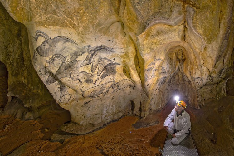 Auvergne Rhône Alpes - Ardèche (07) - Vallon Pont d'Arc - Visite exclusive de la grotte ornée du Pont d'Arc, dite Grotte Chauvet : Salle Hilaire. Jean Clottes devant le Grand Panneau des Chevaux.  Cette fresque couvre plus de six mètres carrés et s'inscrit dans une composition plus vaste atteigant environ six mètres de long. Un raclage, détruisant les figures initiales, est venu préparer la paroi sur laquelle ont été successivement installés des aurochs à l'estompe, marchant à gauche, des rhinocéros puis des chevaux.