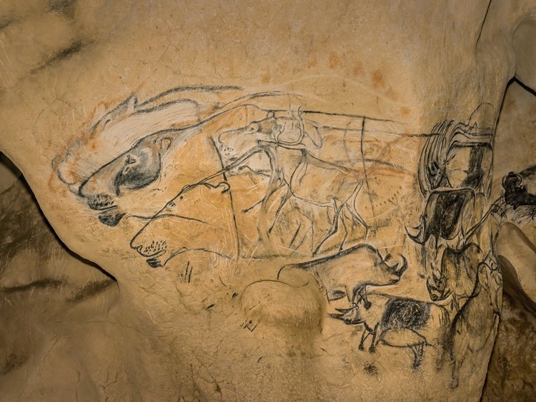 Auvergne Rhône Alpes - Ardèche (07) -  Vallon Pont d'Arc - Visite exclusive de la grotte ornée du Pont d'Arc, dite Grotte Chauvet : Salle du Fond. Détail gauche du Grand Panneau des Lions en chasse.  Les scènes de chasse sont rares dans l'art paléolitique. Celle-ci est unique.