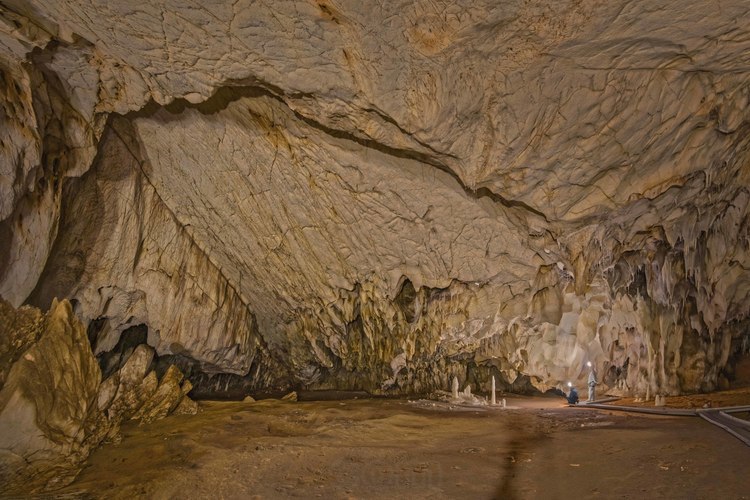 Auvergne Rhône Alpes - Ardèche (07) -  Vallon Pont d'Arc - Visite exclusive de la grotte Chauvet 20 ans après sa découverte : Salle des Bauges. Vue générale. Il s'agit de la plus vaste salle de la Grotte (59 mètres dans sa plus grande largeur). En arrière plan, Jean Clottes (en blanc) et Marie Bardisa (en bleu) observent le panneau de la Panthère Rouge.