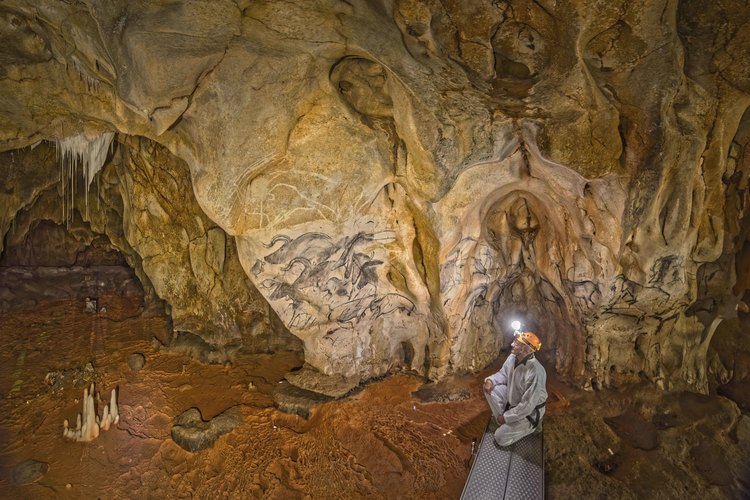 Auvergne Rhône Alpes - Ardèche (07) - Vallon Pont d'Arc - Visite exclusive de la grotte ornée du Pont d'Arc, dite Grotte Chauvet : Salle Hilaire. Jean Clottes devant le Grand Panneau des Chevaux.  Cette fresque couvre plus de six mètres carrés et s'inscrit dans une composition plus vaste atteigant environ six mètres de long. Un raclage, détruisant les figures initiales, est venu préparer la paroi sur laquelle ont été successivement installés des aurochs à l'estompe, marchant à gauche, des rhinocéros puis des chevaux.