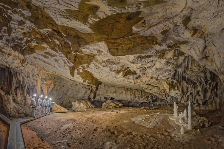 Auvergne Rhône Alpes - Ardèche (07) -  Vallon Pont d'Arc - Visite exclusive de la grotte Chauvet 20 ans après sa découverte : Salle des Bauges. Les mégablocs apparaissant au second plan sont tombés de la voûte. L'escarpement en marche d'escalier est la source de ces chutes. De gauche à droite, David Huguet, Jean Clottes, Fidel Sola, Michel Clément et Marie Bardisa.