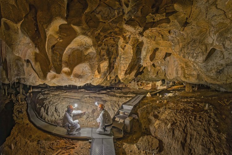 Auvergne Rhône Alpes - Ardèche (07) -  Vallon Pont d'Arc - Visite exclusive de la grotte Chauvet 20 ans après sa découverte. Salle Hilaire. Dans cet espace surbaissé, on a dénombré soixante dix bauges, dans lesquelles les ours des cavernes venaient hiberner.  De gauche à droite, Richard Buffat et Jean Clottes.