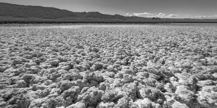 Chili - Désert d'Atacama : Croûte de Sel, laguna Baltinache (altitude 2320 m.), dans le Salar d'Atacama. En arrière plan, la Cordillera de la Sal.