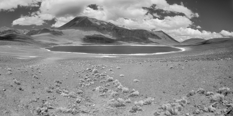 Chili - Désert d'Atacama : Laguna Miniques (altitude 4120 m.) et volcan Miniques (5910 m.)