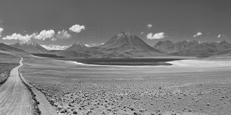 Chili - Désert d'Atacama : Laguna Miscanti (altitude 4120 m.) et volcan Miscanti (5910 m.)