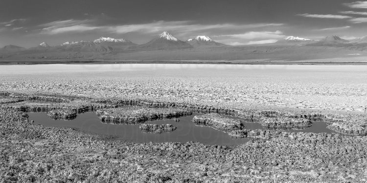 Chili - Désert d'Atacama : Laguna Tebenquiche (altitude 2300 m.), dans le salar d'Atacama. En arrière plan, les volcans Licancabur (altitude 5920 m.) et Juriques (altitude 5704 m.).