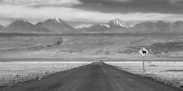 Chili - Désert d'Atacama : Route vers la Laguna Chaxa (altitude 2300 m.), dans le salar d'Atacama. En arrière plan, la chaine du volcan Lascar (altitude 5592 m.)