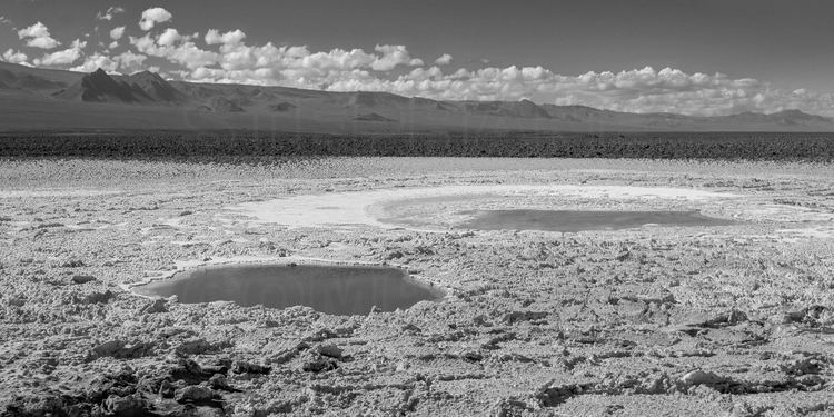 Chili - Désert d'Atacama : Les sept lagunes de la Laguna Baltinache (altitude 2320 m.), dans le Salar d'Atacama. En arrière plan, la Cordillera de la Sal.