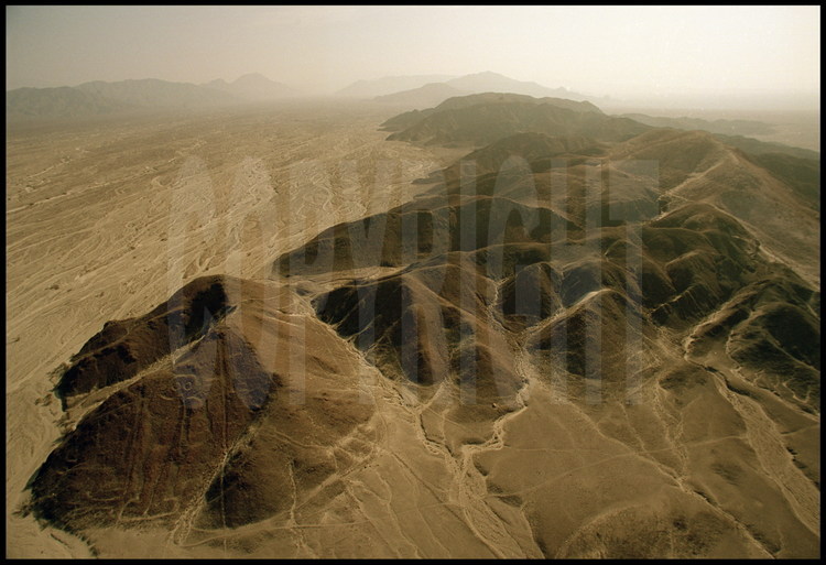Pampa Jumana, région de Nazca, Pérou.
Ce géoglyphe, surnommé 