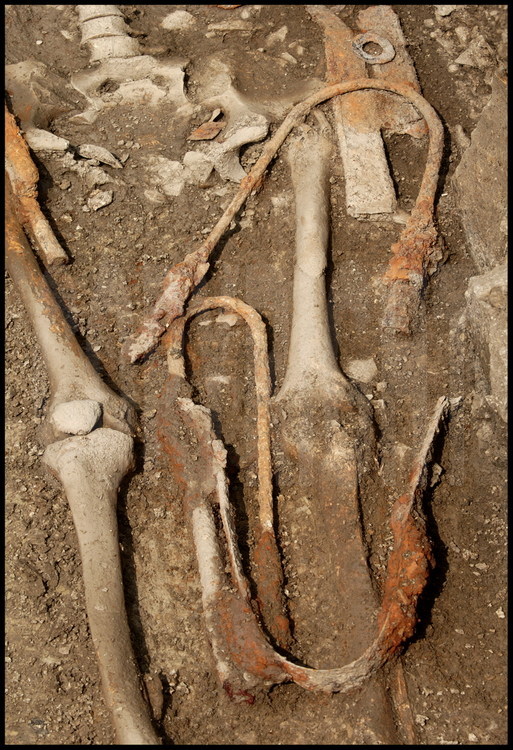 After digging for 2 days, Daniele Vitali’s team has finally excavated the tomb of a Celtic warrior with weaponry intact. The sword, sheath, spearheads and javelin are exactly the same as those found in the Celtic tombs of the Northern Alps.  However, the presence of Etruscan funerary furnishings in this same tomb reveal that as early as the 4th century BCE, the native Etruscan population and the Celtic newcomers were already intermingling. In Celtic culture a weapon was born and died with the same person, and Celtic warriors were always buried with their military paraphernalia. Thus the sword, spear and sheath were rendered useless before interring them to ensure they would not be used by another.