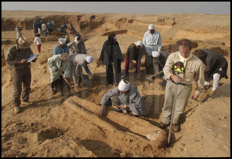 At the Tabbet al-Guesh site, the team begins the stratagraphic dig, exposing layers chronologically. Only 50 cm from the surface, they expose a forgotten necropolis, containing a wooden anthropoid sarcophagus in fantastic shape and dating to the Late Period (750-732 BCE). Here, another wooden sarcophagus. The team takes careful note of the context of discovery in order to locate the artifact in the greater chart of the excavation. Each artifact is also photographed on location for archiving.